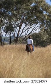 Australian Stockman On Horse