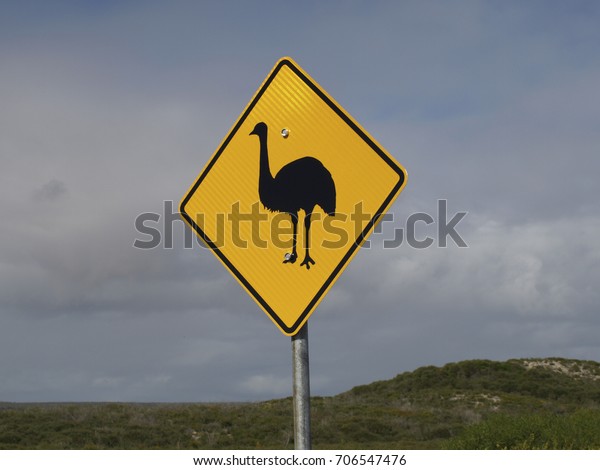 australian Street signs animal\
yellow
