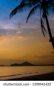 Australian Sunrise In Cairns With Palm Tree Silhoutte