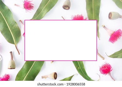 Australian Themed Border Background Of Scattered Gum Leaves, Gum Nuts And Pink Flowers Modern Top Down View On A Textured White Background With Copy Space.