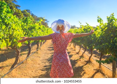 Australian Vineyard. Carefree Blonde Woman With Open Arms Among The Rows Of Grapes, Enjoys The Harvest In Margaret River Known As The Wine Region In Western Australia.