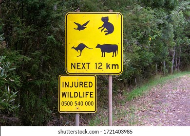 332 Koala road sign Images, Stock Photos & Vectors | Shutterstock