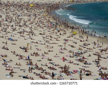 Australians On Bondi Beach On Christmas Day