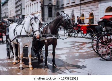 Austria beautiful horses with equipage coaches on the streets of Vienna - Shutterstock ID 1593932011