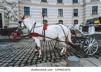 Austria beautiful horses with equipage on the streets of Vienna - Shutterstock ID 1594013191