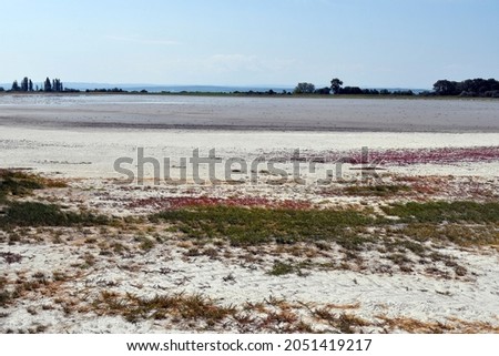 Austria, Neusiedlersee-Seewinkel national park in Burgenland in the Pannonian lowlands, popular excursion destination with steppe landscape, wetlands, salt ponds and known for its bird life Stock photo © 