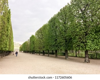 Austria Vienna 14042017 Trimmed Trees People Stock Photo 1172605606 ...