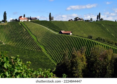 Austria, vineyards on the steep slopes of the Sulz Valley located on the Styrian wine route near the border to Slovenia, the hilly landscape is also known as the Tuscany of Austria  - Shutterstock ID 2224844447