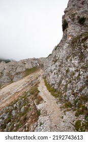 Austrian Eastern Alps In Summer