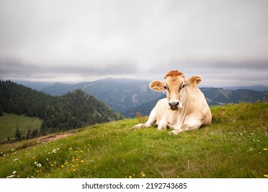 Austrian Eastern Alps In Summer