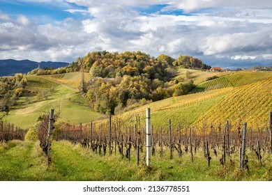 austrian landscapes: rural landscape scene with hills and vine yards in the south styrian region called Weinstrasse Südsteiermark and with some clouds in the sky in the background