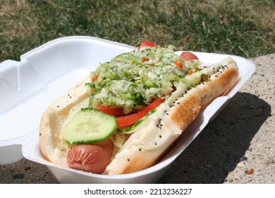 
Authentic Chicago Style Hot Dog