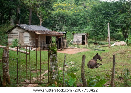 authentic countryside landscape of a wooden house, grounds and a slender hispanic black horse laying on the lawn