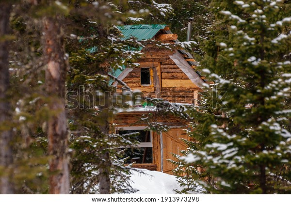 Authentic house in\
the woods around mighty Siberian forest. Beautiful winter nature\
with spruces, cedars and\
snow.