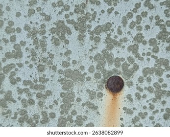 Authentic image of a rusty screw head with streaking corrosion on a weathered wall, surrounded by organic mold or mildew stains.
