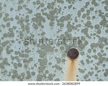 Authentic image of a rusty screw head with streaking corrosion on a weathered wall, surrounded by organic mold or mildew stains.

