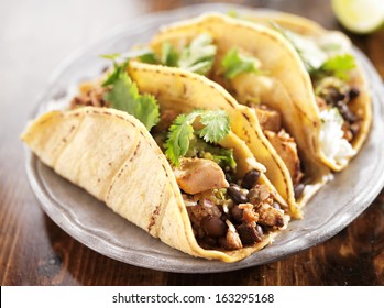 authentic mexican tacos in yellow corn shell with chicken