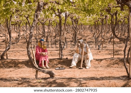 Authentic Middle Eastern farming couple in traditional colorful clothing rest on chairs in a sparse barely leafed orchard with barren soil under harsh