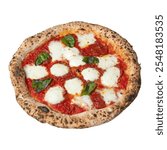 Authentic Neapolitan pizza with a charred crust, fresh mozzarella, tomato sauce, and basil leaves, offering a classic and flavorful Italian dish, isolated on a white background