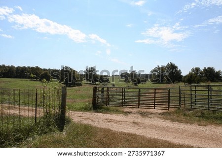 Authentic neutral angle dirt farm road passing into green pasture through metal gates