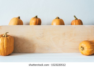 Authentic rustic pumpkin of different shapes with flaws , scratches and imperfections on white background,Fall background, harvest Season, Soft light, warm pastel colors, Autumn time