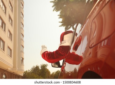 Authentic Santa Claus with fir tree driving modern car, back view - Powered by Shutterstock