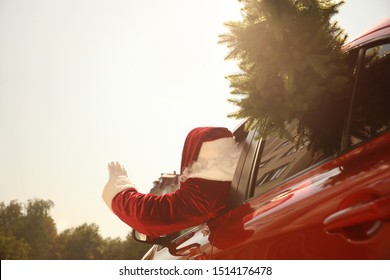 Authentic Santa Claus with fir tree driving modern car, back view - Powered by Shutterstock