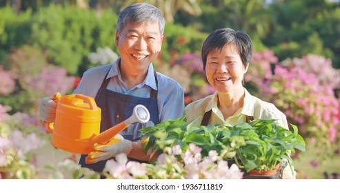 Authentic Shot Of Asian Retired Senior Man Is Watering Plants With His Wife In The Garden