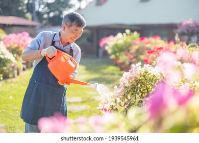 Authentic Shot Of Asian Retired Senior Man Watering Plants In The Garden