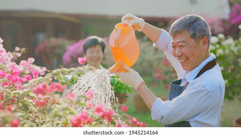 Authentic Shot Of Asian Retired Senior Man Watering Plants In The Garden