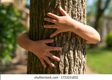 Authentic shot of a little girl is hugging a tree trunk on a sunny day. 