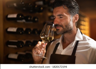 Authentic shot of successful male sommelier is tasting a flavor and checking white wine quality poured in transparent glass in a wine cellar. - Shutterstock ID 1820172194