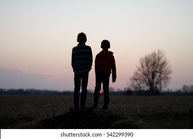 Authentic silhouette of brothers looking out at the sunset on their farm