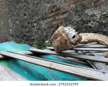 Authentic traditional craft object, a weathered horn on a bamboo structure, capturing cultural heritage and rural simplicity - Close-up of a rustic animal horn, likely buffalo, resting on a traditional handmade bamboo platform.