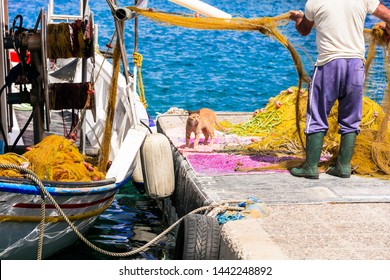 Authentic traditional Greece - scene with fisherman and cat avaiting the fish. Leros island