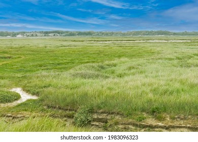 Authie Bay Near The Town Of Fort Mahon