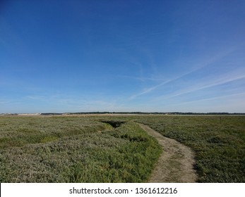 Authie Bay Of Sum Bay