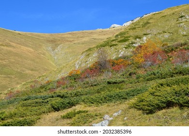 An Autmn Hiking Day On Treskavica Mountain, Bosnia