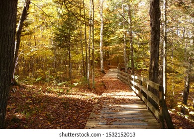 Autmn Landscape In Lotbiniere, Quebec, Canada