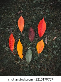 Autmn Leaves On Dry Grass