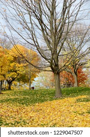 Autmn In Niagra On The Lake, Ontario, Canada