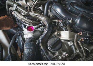 Auto Mechanic Checking Coolant Fluid In The Coolant Fill Hole.