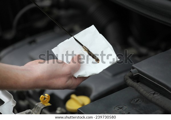 Auto mechanic checking engine oil dipstick in car.\
Auto mechanic in car\
repair