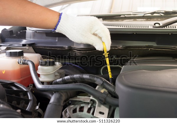 Auto mechanic\
checking oil level in a car\
engine