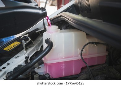 Auto Mechanic Pouring Pre-mixed Super Long Life Coolant Fluid In  Coolant Reservoir Tank.