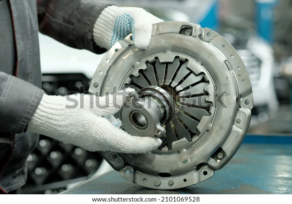 Auto\
parts. Clutch kit close-up. An auto mechanic checks the technical\
condition of the drive disc, the driven disc and the exhaust\
bearing. Repair and maintenance in a car\
service.