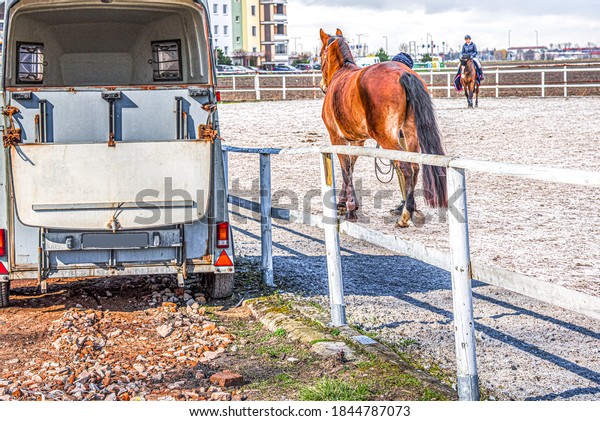  Auto trailer for transportation\
of horses . Horse vehicle . Carriage for horses .\
