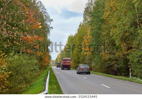 Auto transport movement in autumn on forest paved\
road. - Image