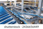 Automated Conveyor Belt Sorting Mechanism in a Logistics Center. Automatic Engineering Solution Handling and Preparing Parcels for Delivery to Clients. Warehouse Shot