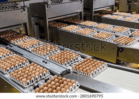 Automated egg processing line in industrial facility with brown eggs sorted and conveyed through multiple production stations efficiently.